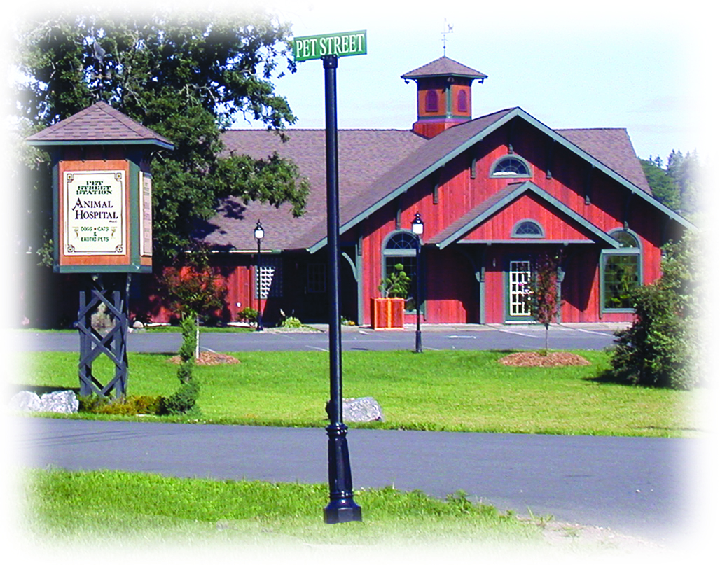 animal hospital in Norwich